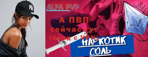 дживик Бородино