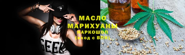 дживик Бородино