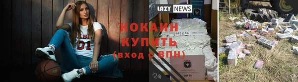 дживик Бородино