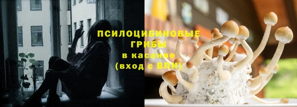 ГАЛЛЮЦИНОГЕННЫЕ ГРИБЫ Бугульма