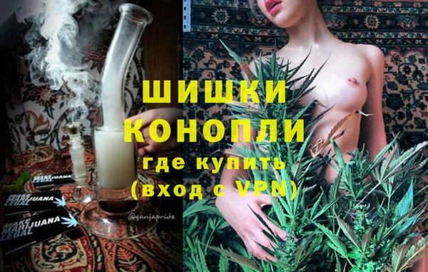 дживик Бородино