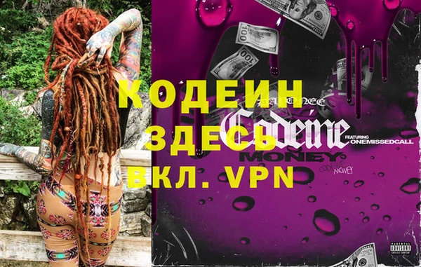 дживик Бородино