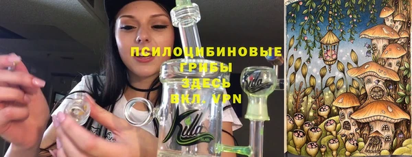 ГАЛЛЮЦИНОГЕННЫЕ ГРИБЫ Бугульма