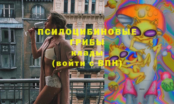 дживик Бородино