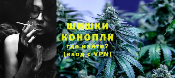 ГАЛЛЮЦИНОГЕННЫЕ ГРИБЫ Бугульма