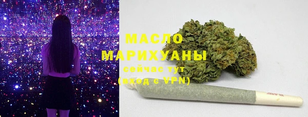 дживик Бородино