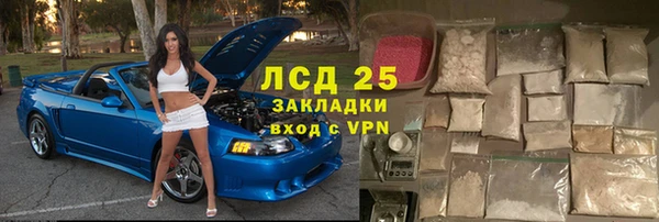 дживик Бородино