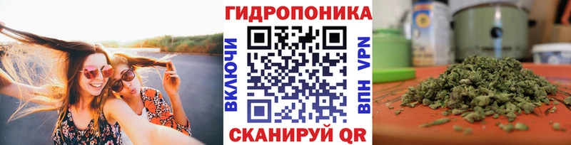 закладка  блэк спрут как войти  Шишки марихуана White Widow  Дивногорск 